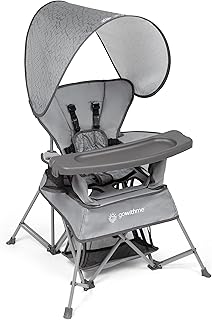 Baby Delight Go with Me Venture Portable Chair | Indoor and Outdoor | Sun Canopy | 3 Child Growth Stages | Elephant Grey