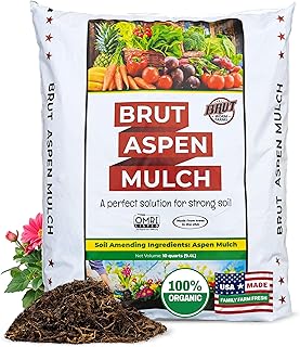 Brut Organic Aspen Mulch – 10 Quarts, Natural Weed Preventer, Water Retainer, Odor-Free – Nutrient-Rich Bark for Plants – Ideal Bark Mulch for Landscaping, Garden Beds & Potted Plants